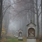 1177 – Žranice Mařenice